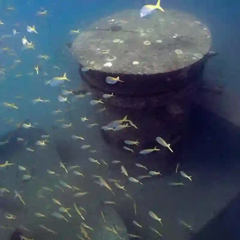 Wreck Diver Specialty in Koh Tao Wreck structure surrounded by fish during a Wreck Diver Specialty dive in Koh Tao