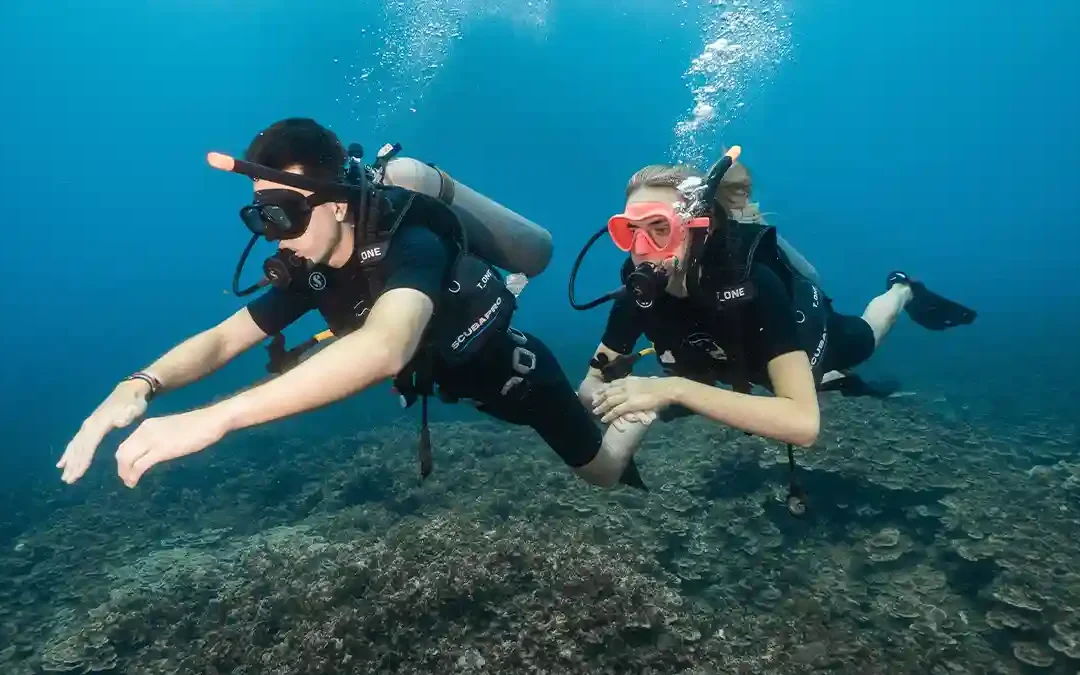 What to Expect From Your PADI Open Water Course in Koh Tao