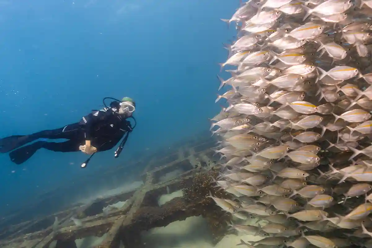 Advanced Open Water Course Koh Tao | Flow Divers Certified diver exploring a large school of fish during advanced diving in Koh Tao