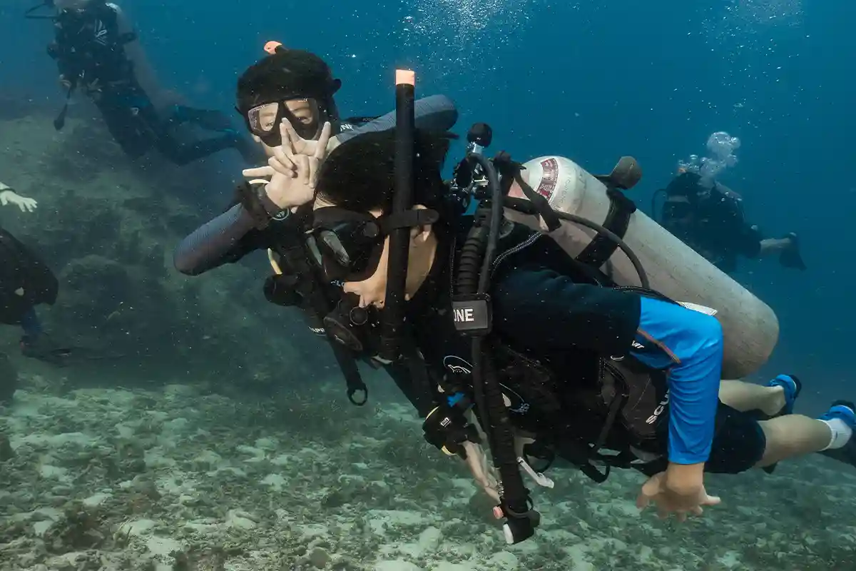 Buoyancy Control Practice in Koh Tao Divers practising buoyancy control during a PADI Peak Performance Buoyancy course in Koh Tao