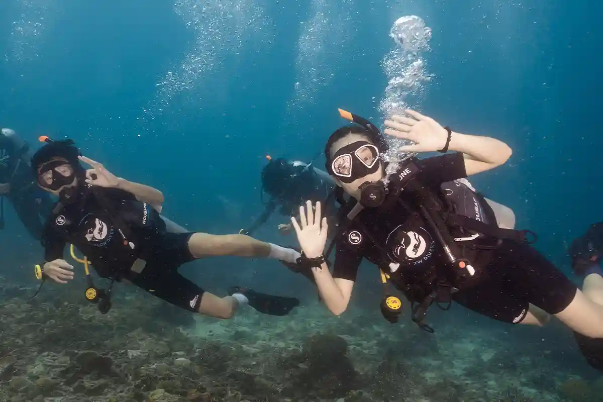 Certified Divers Underwater in Koh Tao Group of scuba divers smiling and signalling underwater in Koh Tao
