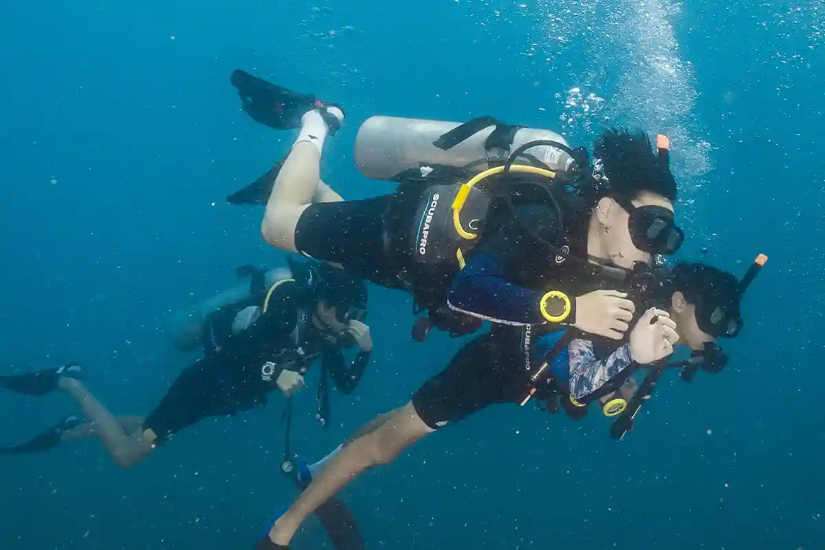Dive Buddies Exploring Koh Tao Together Scuba diving buddies swimming together above a reef in Koh Tao