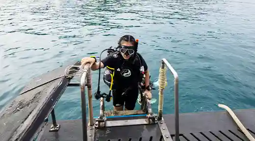 Returning to the Dive Boat Scuba diver climbing the ladder onto the Flow Divers boat after a dive in Koh Tao