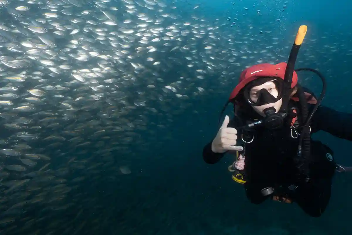 Fun Dive Photo Service Koh Tao | Flow Divers Diver swimming beside a large school of fish in Koh Tao
