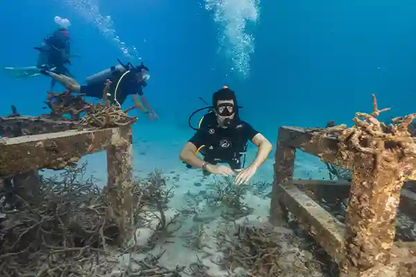 Fun Divers Koh Tao Underwater Site | Flow Divers Fun divers exploring an underwater site in Koh Tao with Flow Divers