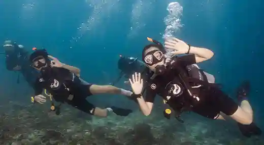 Fun Diving in Koh Tao Two certified divers enjoying a fun dive above a coral reef in Koh Tao