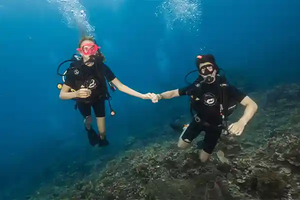 Koh Tao Fun Dive Packages | Flow Divers Certified diver enjoying a fun dive with schooling fish in Koh Tao