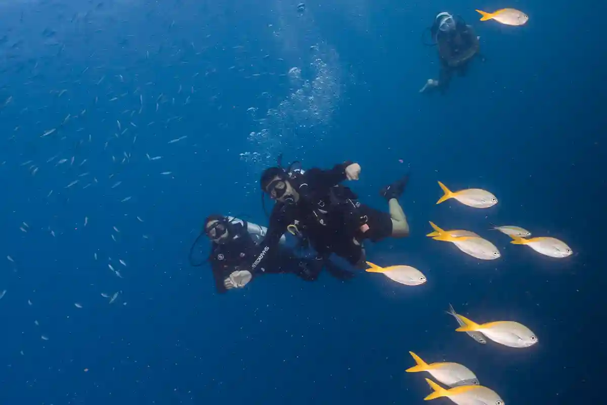 Nitrox Specialty Divers Hovering Midwater in Koh Tao Two divers hovering in blue water with fish around them in Koh Tao
