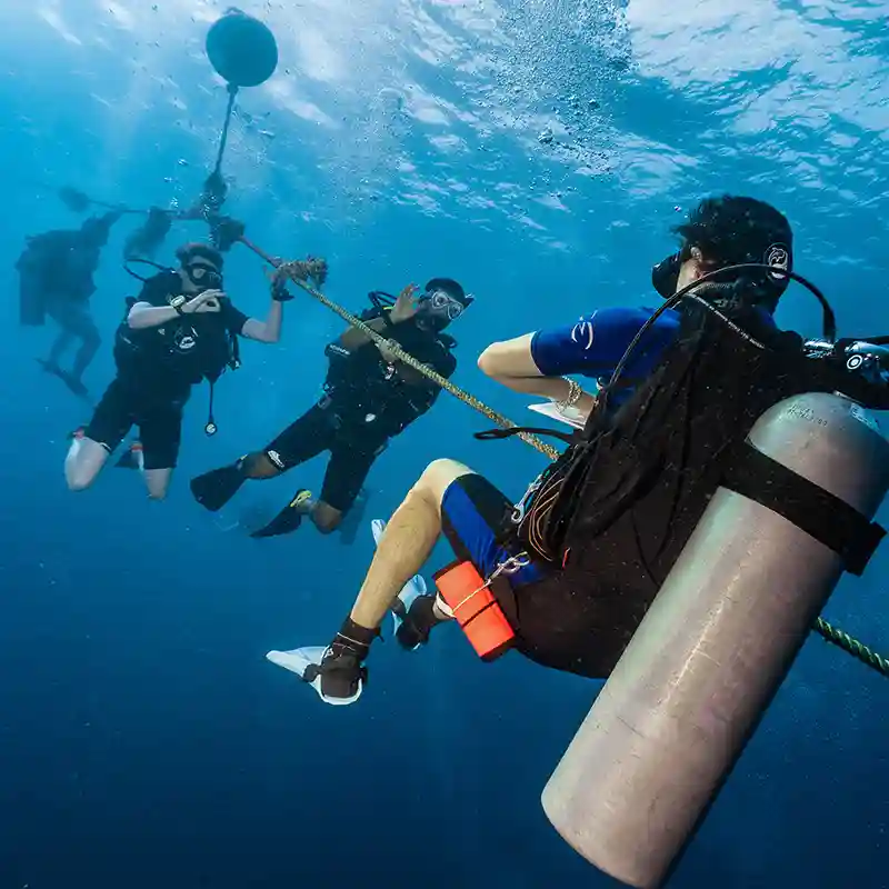 Organised Dive Days Koh Tao | Flow Divers Flow Divers students and instructor during an organised scuba training dive in Koh Tao