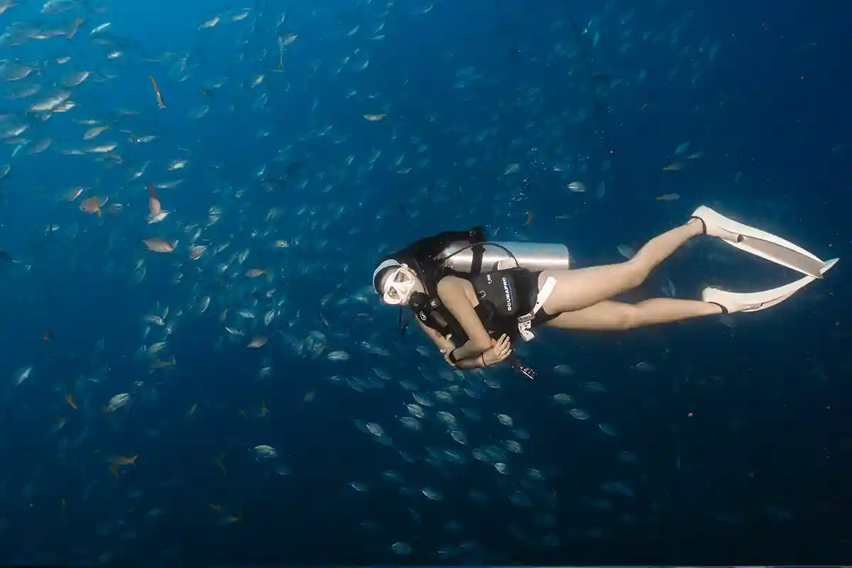 PADI Advanced Open Water Koh Tao | Flow Divers Advanced diver swimming underwater with schooling fish in Koh Tao