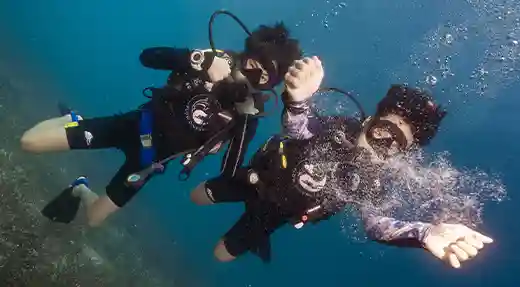 PADI Peak Performance Buoyancy Course in Koh Tao Two divers demonstrating buoyancy control underwater in Koh Tao