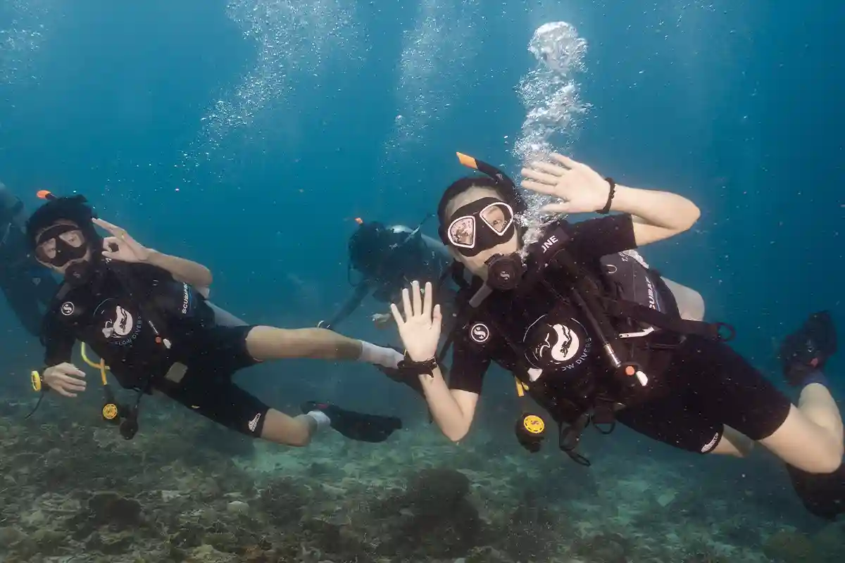PADI Scuba Diver Course Ocean Dive in Koh Tao Two students giving hand signals during a PADI Scuba Diver Course ocean dive in Koh Tao