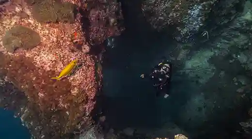 PADI Search and Recovery Diver Course in Koh Tao Diver exploring around a reef crevice during the PADI Search and Recovery Diver course in Koh Tao