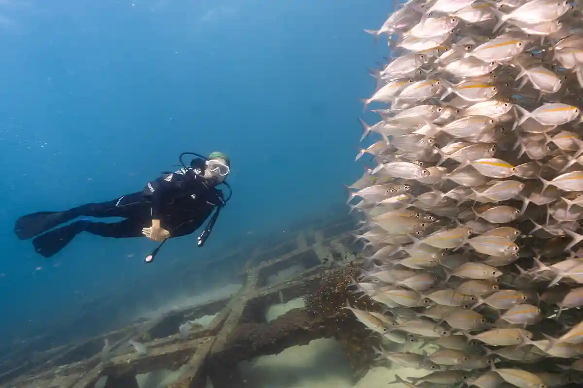 Continue with PADI Speciality Courses Diver swimming beside a large school of fish above a wreck site in Koh Tao