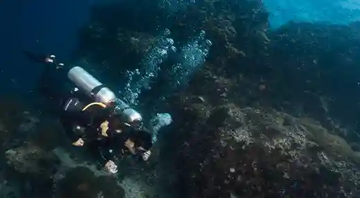 PADI Specialty Courses in Koh Tao Two divers exploring a reef wall during a specialty dive in Koh Tao