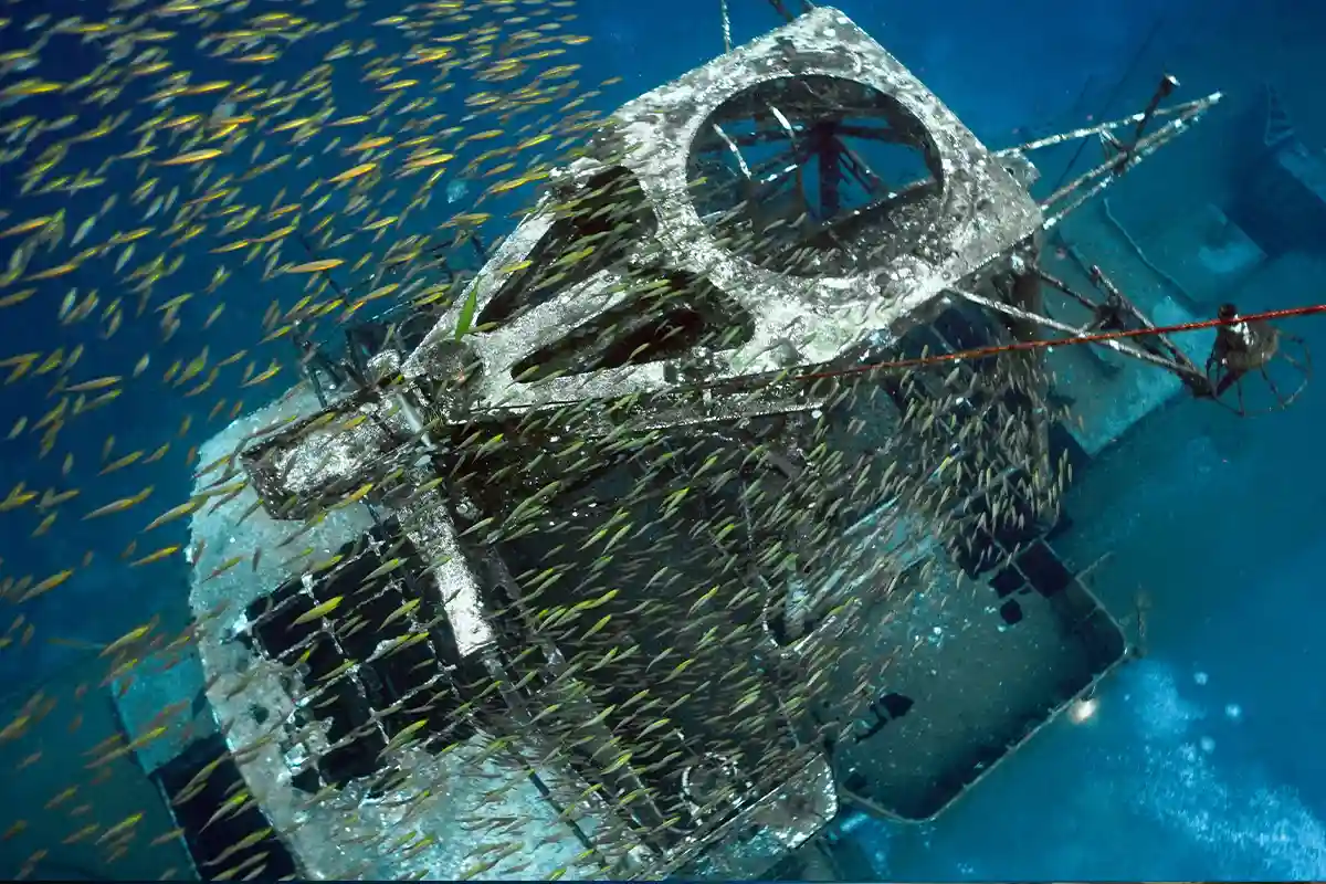 PADI Wreck Diver Koh Tao | Flow Divers Wreck dive site with schooling fish in Koh Tao