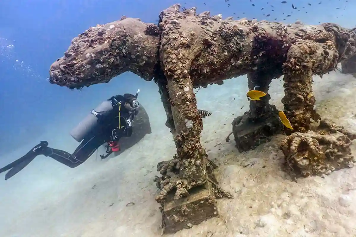 PADI Peak Performance Buoyancy Course in Koh Tao Diver practising buoyancy beside an underwater elephant sculpture in Koh Tao
