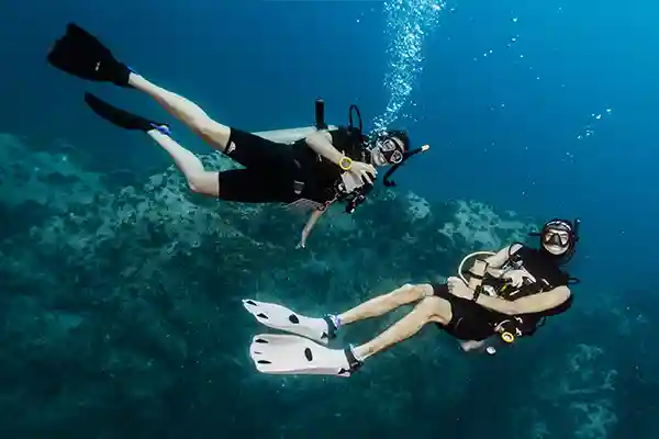 Refresher Dive Koh Tao | Flow Divers Certified divers enjoying a refresher dive in Koh Tao with Flow Divers