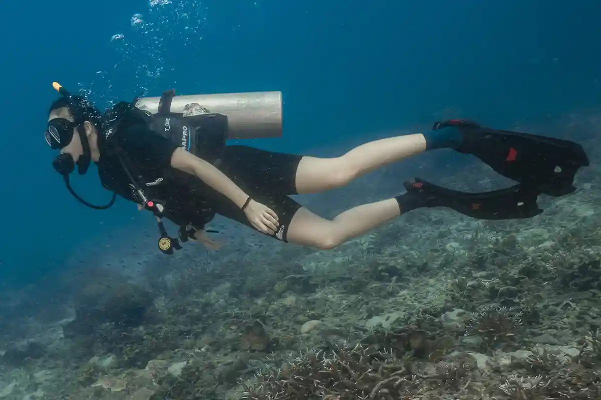 Scuba Diving Above a Koh Tao Reef Scuba diver swimming above a coral reef in Koh Tao
