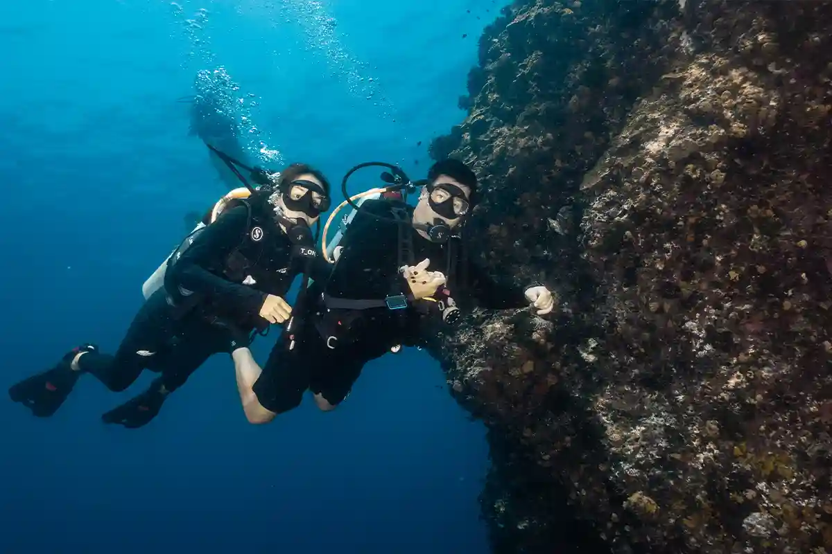 Underwater Dive Photos Koh Tao | Flow Divers Two divers posing underwater beside a reef wall in Koh Tao