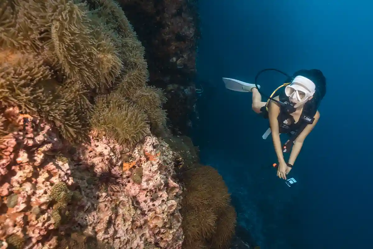 Underwater Dive Video Koh Tao | Flow Divers Diver with an action camera exploring a reef wall in Koh Tao
