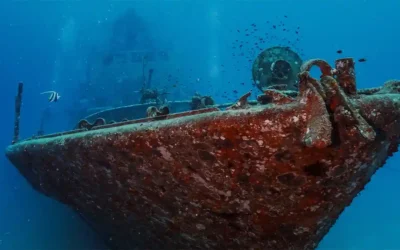 Wreck Diving in Koh Tao: From Advanced Open Water to PADI Wreck Diver Specialty