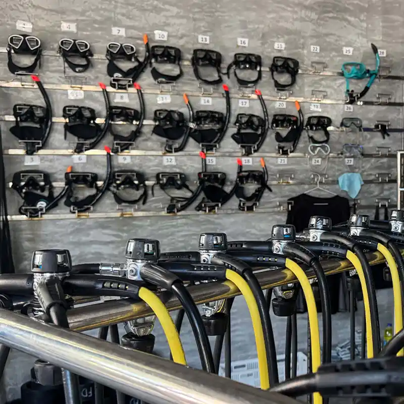 Well-organised scuba diving equipment at Flow Divers Koh Tao